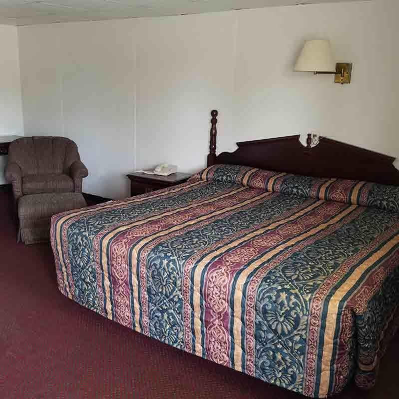 تاهليكوا Oak Park Motel المظهر الخارجي الصورة